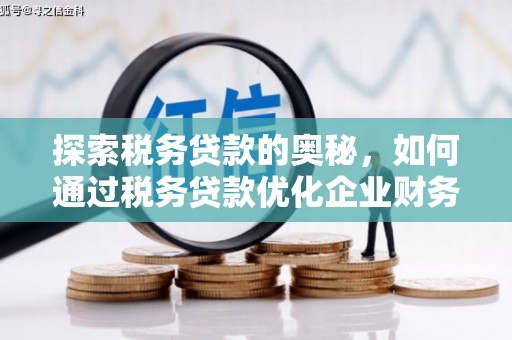 许昌探索税务贷款的奥秘，如何通过税务贷款优化企业财务