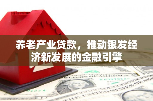 许昌养老产业贷款，推动银发经济新发展的金融引擎