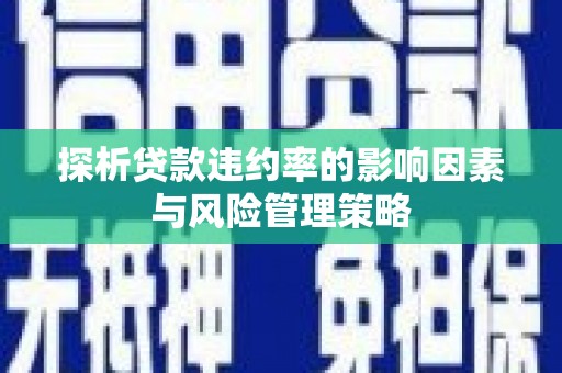 许昌探析贷款违约率的影响因素与风险管理策略