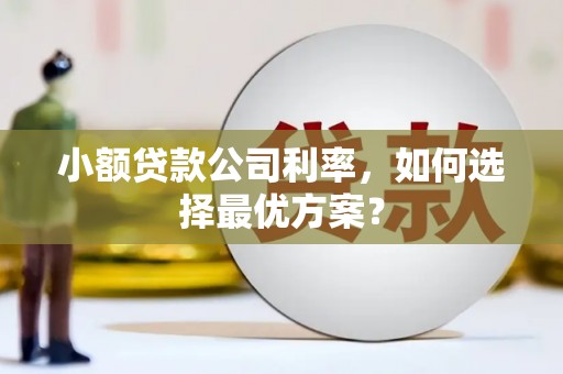 许昌小额贷款公司利率，如何选择最优方案？