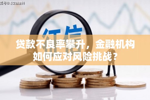 许昌贷款不良率攀升，金融机构如何应对风险挑战？