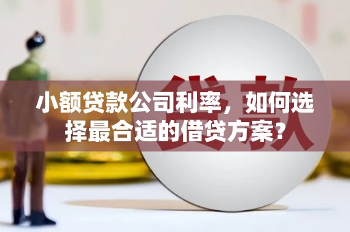 许昌小额贷款公司利率，如何选择最合适的借贷方案？