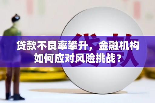 许昌贷款不良率攀升，金融机构如何应对风险挑战？